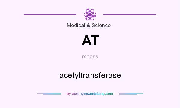 What does AT mean? It stands for acetyltransferase