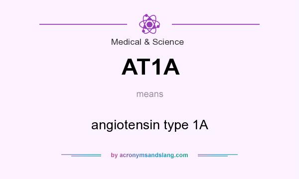 What does AT1A mean? It stands for angiotensin type 1A