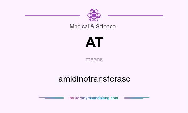 What does AT mean? It stands for amidinotransferase
