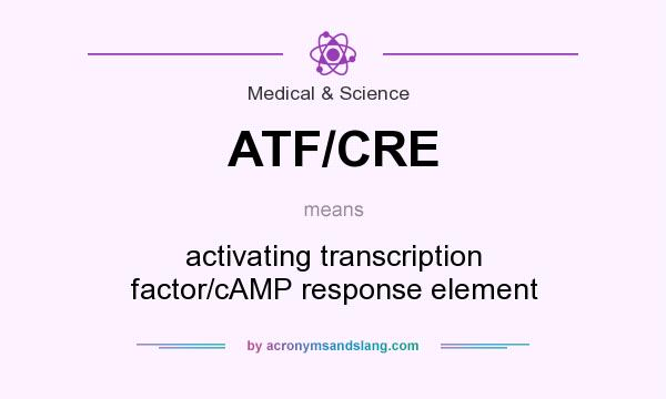 What does ATF/CRE mean? It stands for activating transcription factor/cAMP response element