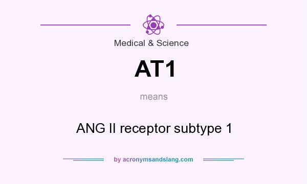 What does AT1 mean? It stands for ANG II receptor subtype 1