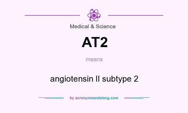 What does AT2 mean? It stands for angiotensin II subtype 2