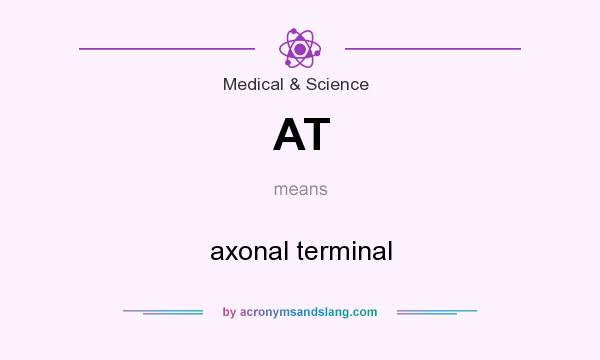 What does AT mean? It stands for axonal terminal