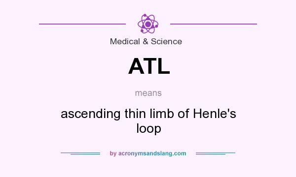 What does ATL mean? It stands for ascending thin limb of Henle`s loop