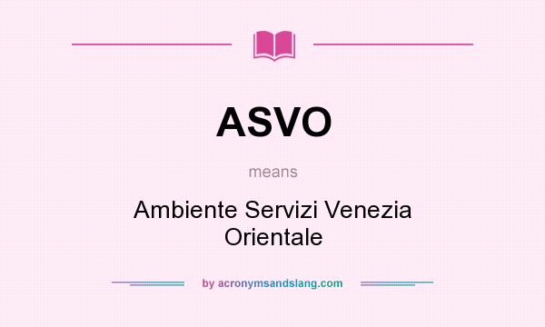 What does ASVO mean? It stands for Ambiente Servizi Venezia Orientale