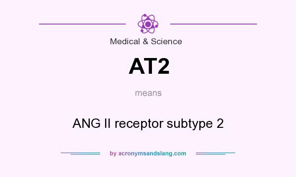 What does AT2 mean? It stands for ANG II receptor subtype 2