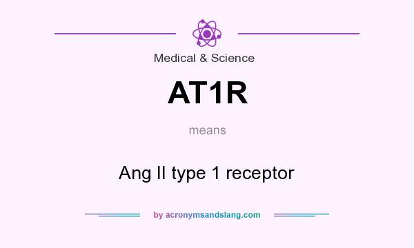 What does AT1R mean? It stands for Ang II type 1 receptor