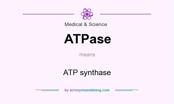 What does ATPase mean? It stands for ATP synthase