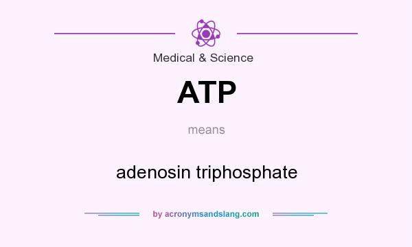 What does ATP mean? It stands for adenosin triphosphate