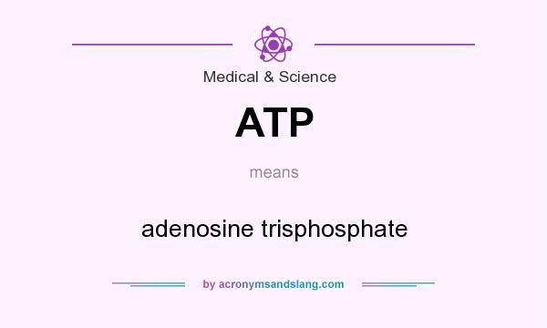 What does ATP mean? It stands for adenosine trisphosphate