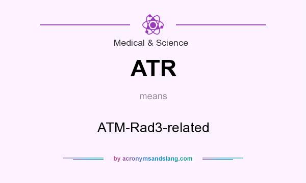 What does ATR mean? It stands for ATM-Rad3-related