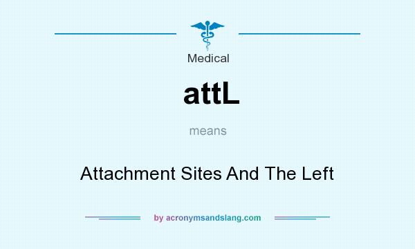 What does attL mean? It stands for Attachment Sites And The Left