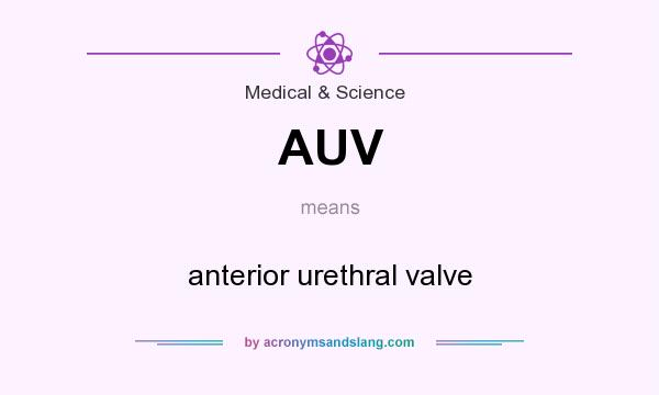What does AUV mean? It stands for anterior urethral valve