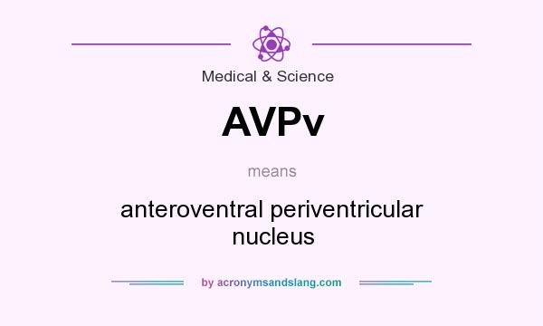 What does AVPv mean? It stands for anteroventral periventricular nucleus