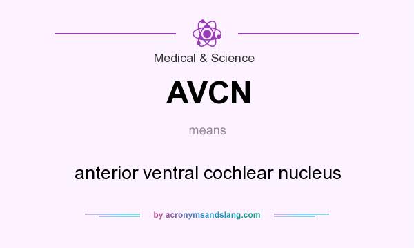 What does AVCN mean? It stands for anterior ventral cochlear nucleus