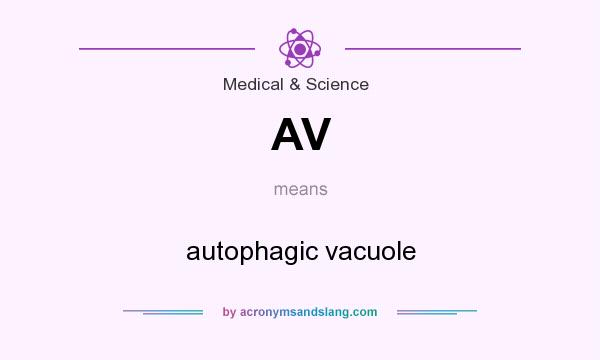 What does AV mean? It stands for autophagic vacuole