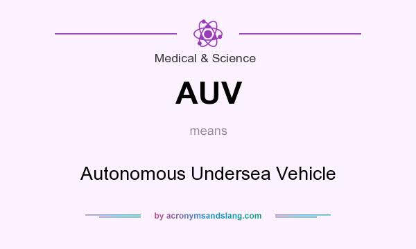 What does AUV mean? It stands for Autonomous Undersea Vehicle