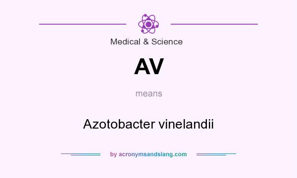 What does AV mean? It stands for Azotobacter vinelandii