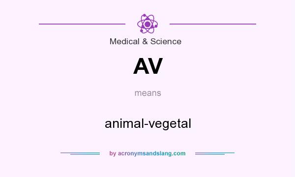 What does AV mean? It stands for animal-vegetal