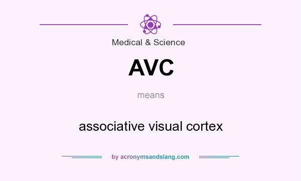 What does AVC mean? It stands for associative visual cortex