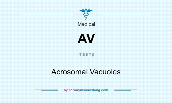What does AV mean? It stands for Acrosomal Vacuoles