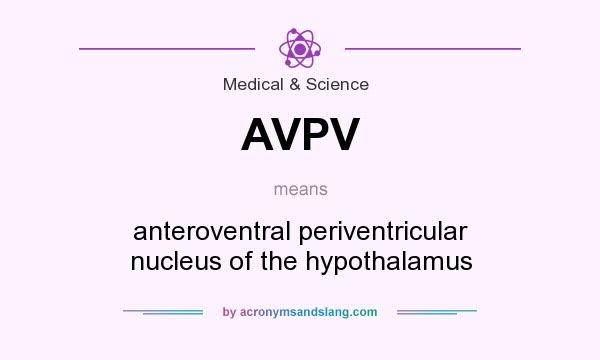 What does AVPV mean? It stands for anteroventral periventricular nucleus of the hypothalamus