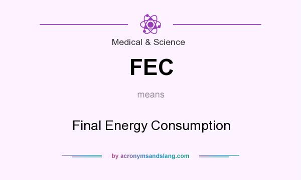 What does FEC mean? It stands for Final Energy Consumption
