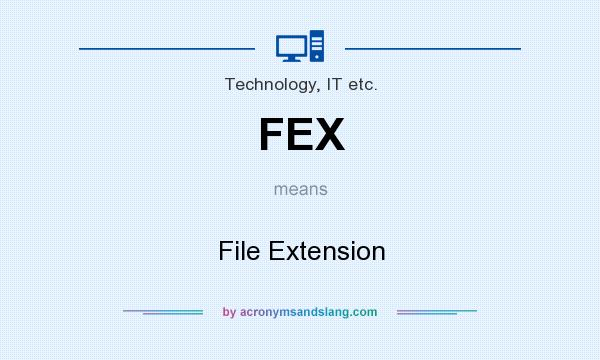 What does FEX mean? It stands for File Extension