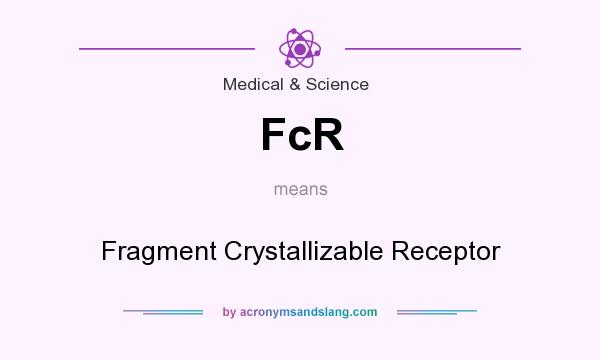 What does FcR mean? It stands for Fragment Crystallizable Receptor