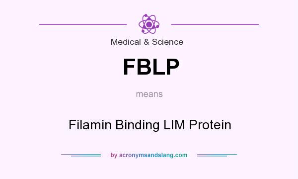 What does FBLP mean? It stands for Filamin Binding LIM Protein