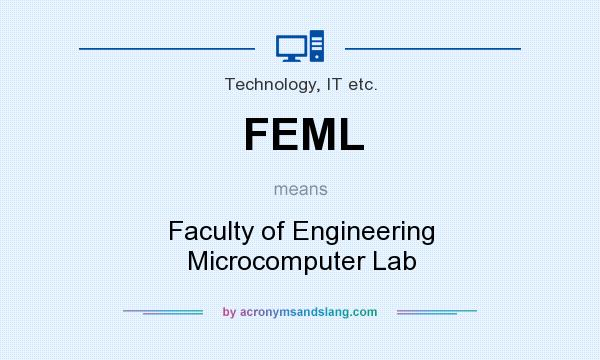 What does FEML mean? It stands for Faculty of Engineering Microcomputer Lab