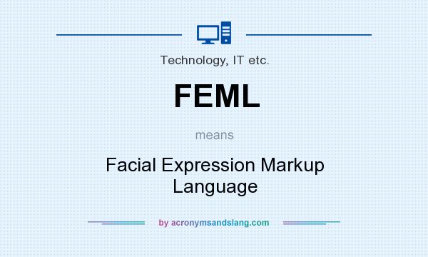 What does FEML mean? It stands for Facial Expression Markup Language