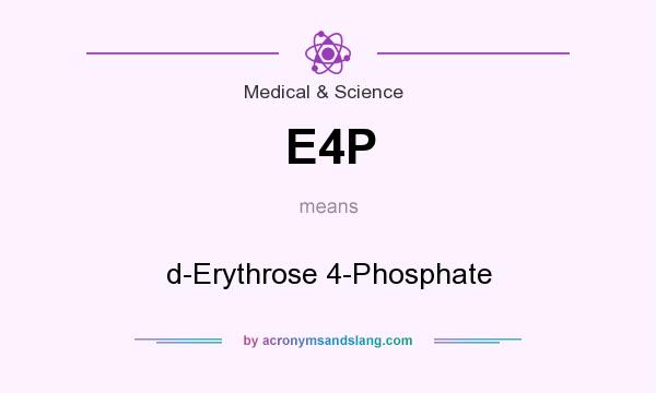 What does E4P mean? It stands for d-Erythrose 4-Phosphate