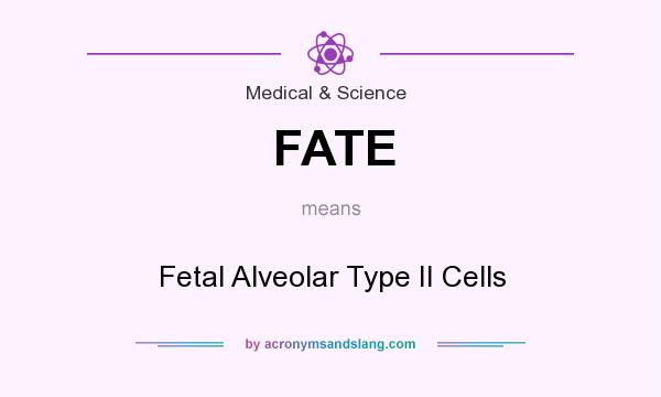 What does FATE mean? It stands for Fetal Alveolar Type II Cells