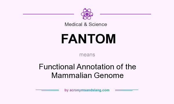 What does FANTOM mean? It stands for Functional Annotation of the Mammalian Genome