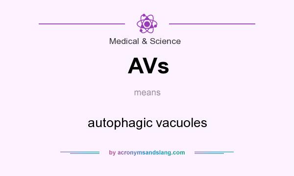 What does AVs mean? It stands for autophagic vacuoles