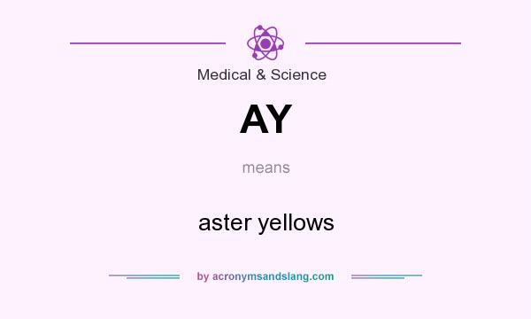 What does AY mean? It stands for aster yellows