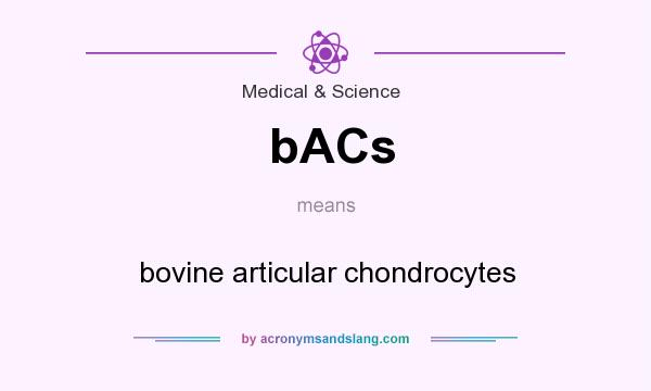 What does bACs mean? It stands for bovine articular chondrocytes