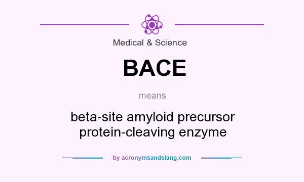 What does BACE mean? It stands for beta-site amyloid precursor protein-cleaving enzyme