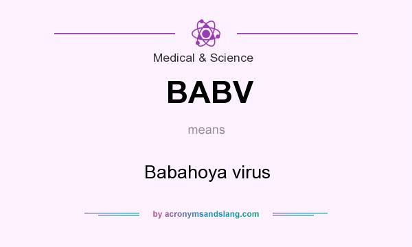 What does BABV mean? It stands for Babahoya virus