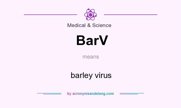 What does BarV mean? It stands for barley virus