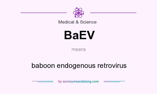What does BaEV mean? It stands for baboon endogenous retrovirus