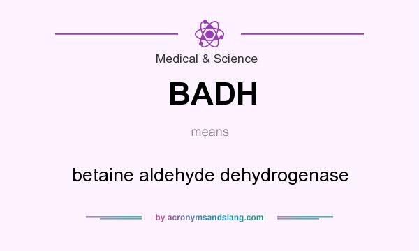 What does BADH mean? It stands for betaine aldehyde dehydrogenase