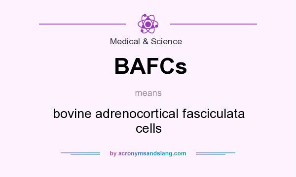 What does BAFCs mean? It stands for bovine adrenocortical fasciculata cells