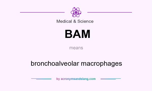 What does BAM mean? It stands for bronchoalveolar macrophages