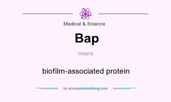 What does Bap mean? It stands for biofilm-associated protein