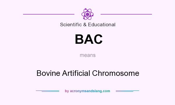 What does BAC mean? It stands for Bovine Artificial Chromosome