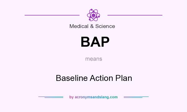 What does BAP mean? It stands for Baseline Action Plan