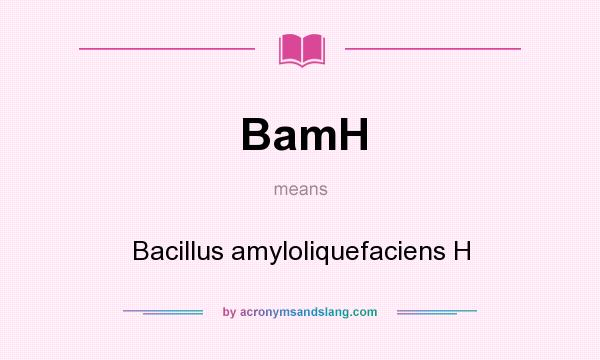 What does BamH mean? It stands for Bacillus amyloliquefaciens H