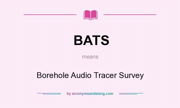 What does BATS mean? It stands for Borehole Audio Tracer Survey